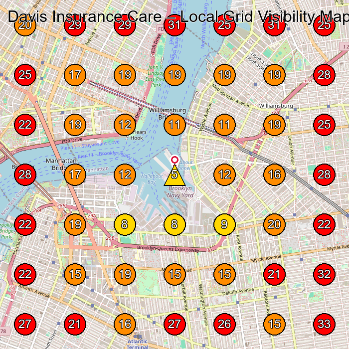 Davis Insurance Care GeoGrid visibility map for Insurance Agency in Brooklyn